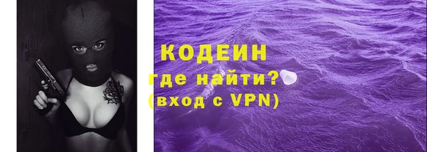 шишки Белоозёрский