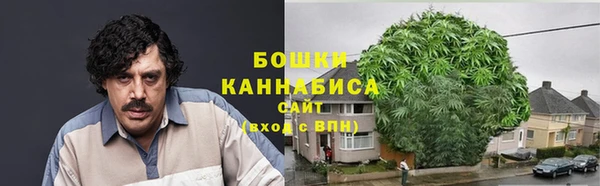 шишки Белоозёрский
