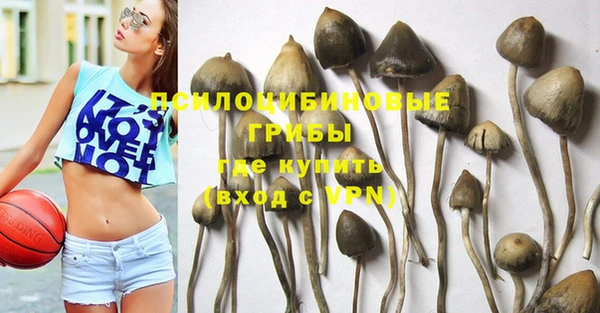 шишки Белоозёрский
