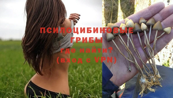 кокаин колумбия Белокуриха