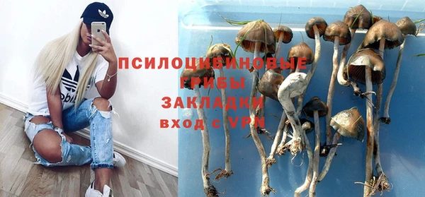 шишки Белоозёрский