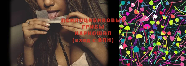 шишки Белоозёрский