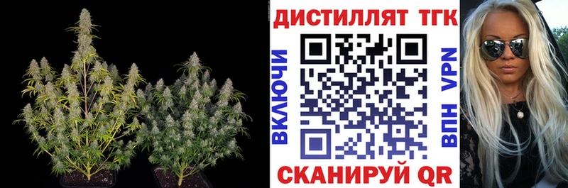 Дистиллят ТГК THC oil  Гремячинск 